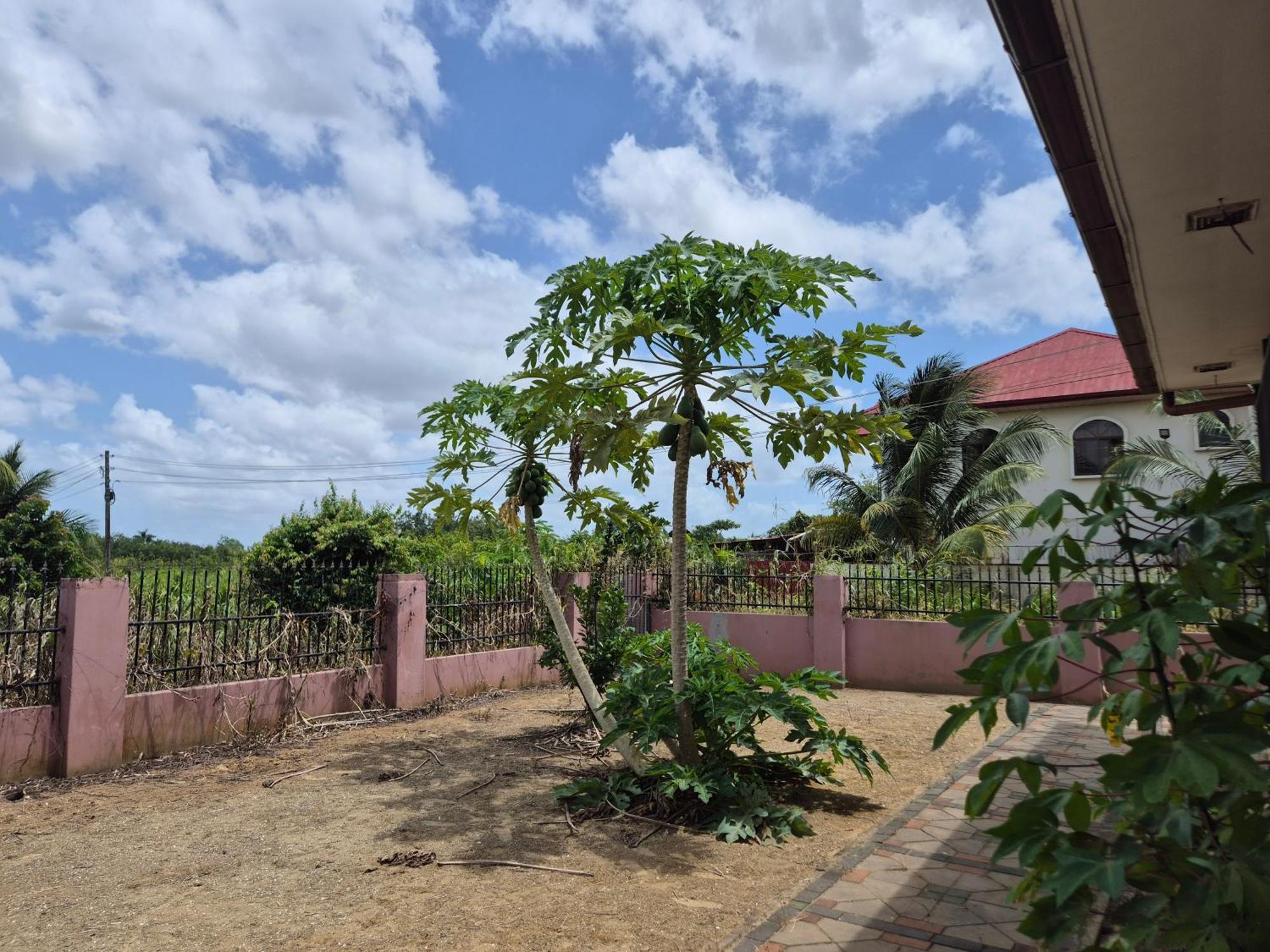 Chander'S Villa Paramaribo Eksteriør billede