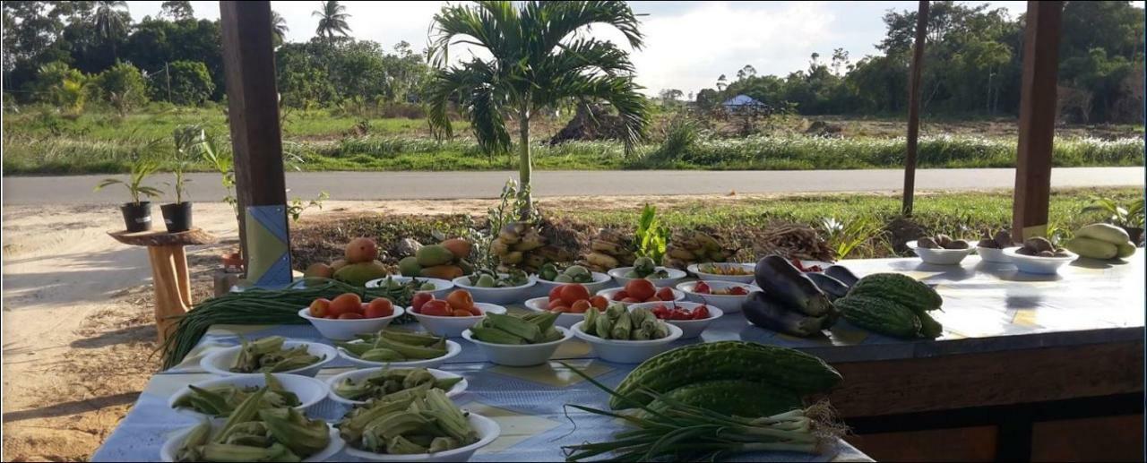 Chander'S Villa Paramaribo Eksteriør billede